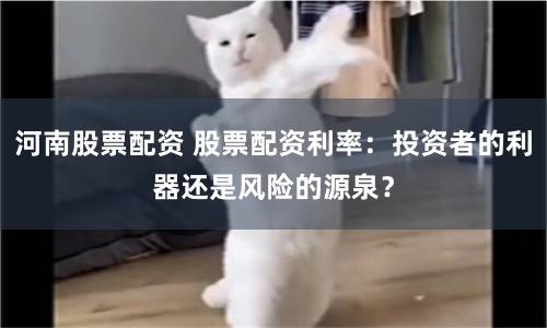 河南股票配资 股票配资利率：投资者的利器还是风险的源泉？